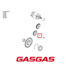 ARRUELA DA ENGRENAGEM DE PARTIDA 6X26X1,5 GASGAS EC250F-350F EX250F-350F MC250F 2021