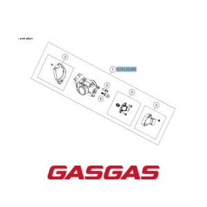 CORPO DE INJECAO COMPLETO GASGAS EC250 2021