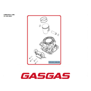 KIT CILINDRO + PISTAO GASGAS EC250 EX250 2021-2022