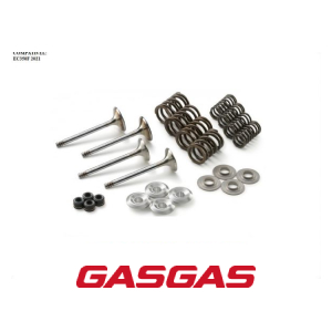 KIT DE VALVULAS (4 VALVULAS + 8 MOLAS + 4 RETENTOR + 8 PRATOS) GASGAS EC350F 2021 (79336030010)