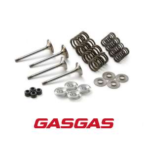 KIT DE VALVULAS (4 VALVULAS + 8 MOLAS + 4 RETENTOR + 8 PRATOS) GASGAS EX250F MC250F 2021-2023 (79036030110)