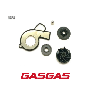 KIT REPARO DA BOMBA DAGUA GASGAS EX450F MC450F 2021 – 79435055015