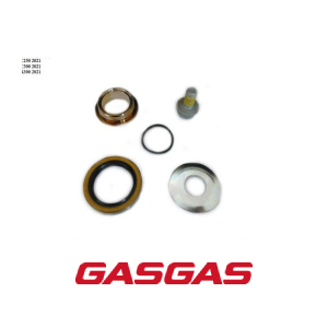 KIT RETENTOR DO PINHAO GASGAS EC250-300 EX300 2021 (77233110010)