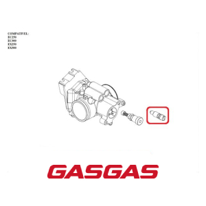 PARAFUSO DE AR DO CORPO DE INJECAO GASGAS EC250-300 EX250-300 2021-2022