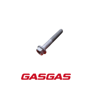 PARAFUSO GASGAS M6X10 ISA30