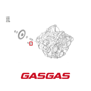 TRAVA DA ENGRENAGEM DA BOMBA DE OLEO GASGAS EC250F-350F EX250F-350F MC250F 2021